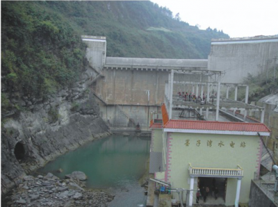 貴沿河縣墨子灣電站大壩、廠房、機(jī)組安裝交鑰匙工程